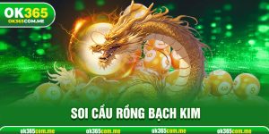 Soi Cầu Rồng Bạch Kim