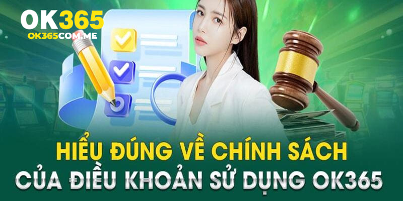 Vài điều giới thiệu chung về điều khoản sử dụng tại OK365