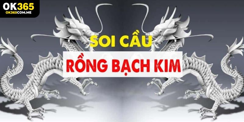 Giới thiệu về soi cầu rồng bạch kim trong lô đề