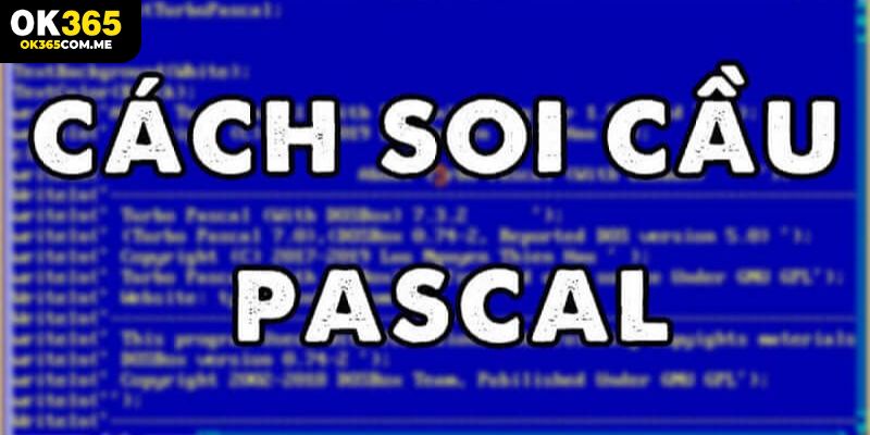 Áp dụng Pascal vào soi cầu rồng bạch kim