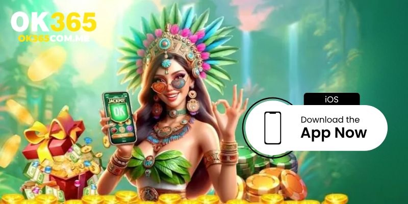 Các bước cài đặt Ok365 app cho IOS