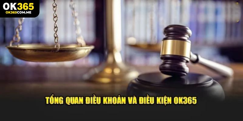 Khái quát về quy định miễn trừ trách nhiệm trên hệ thống cược